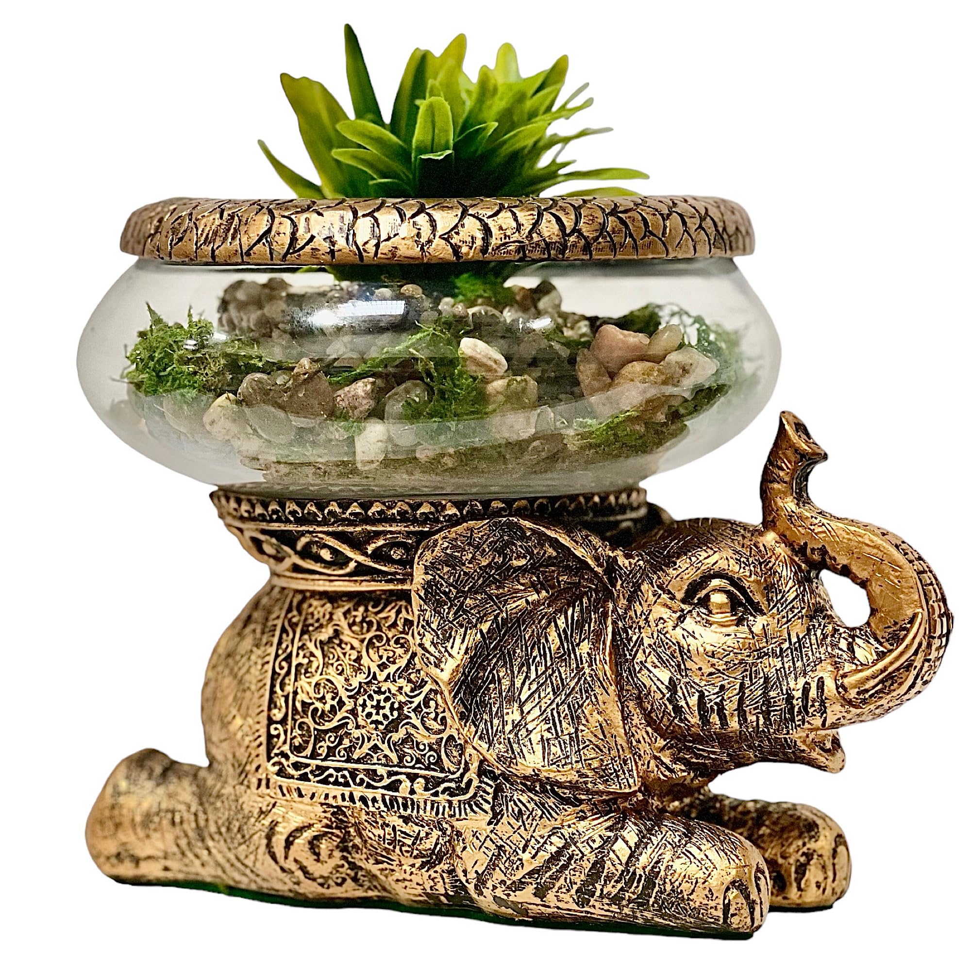 The Nifty Nook good luck elephant glass bowl removable for versatile terrarium or centerpiece styling.