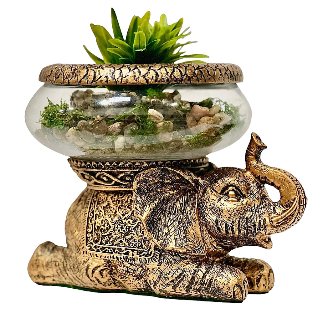 The Nifty Nook good luck elephant glass bowl removable for versatile terrarium or centerpiece styling.