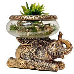 The Nifty Nook good luck elephant glass bowl removable for versatile terrarium or centerpiece styling.