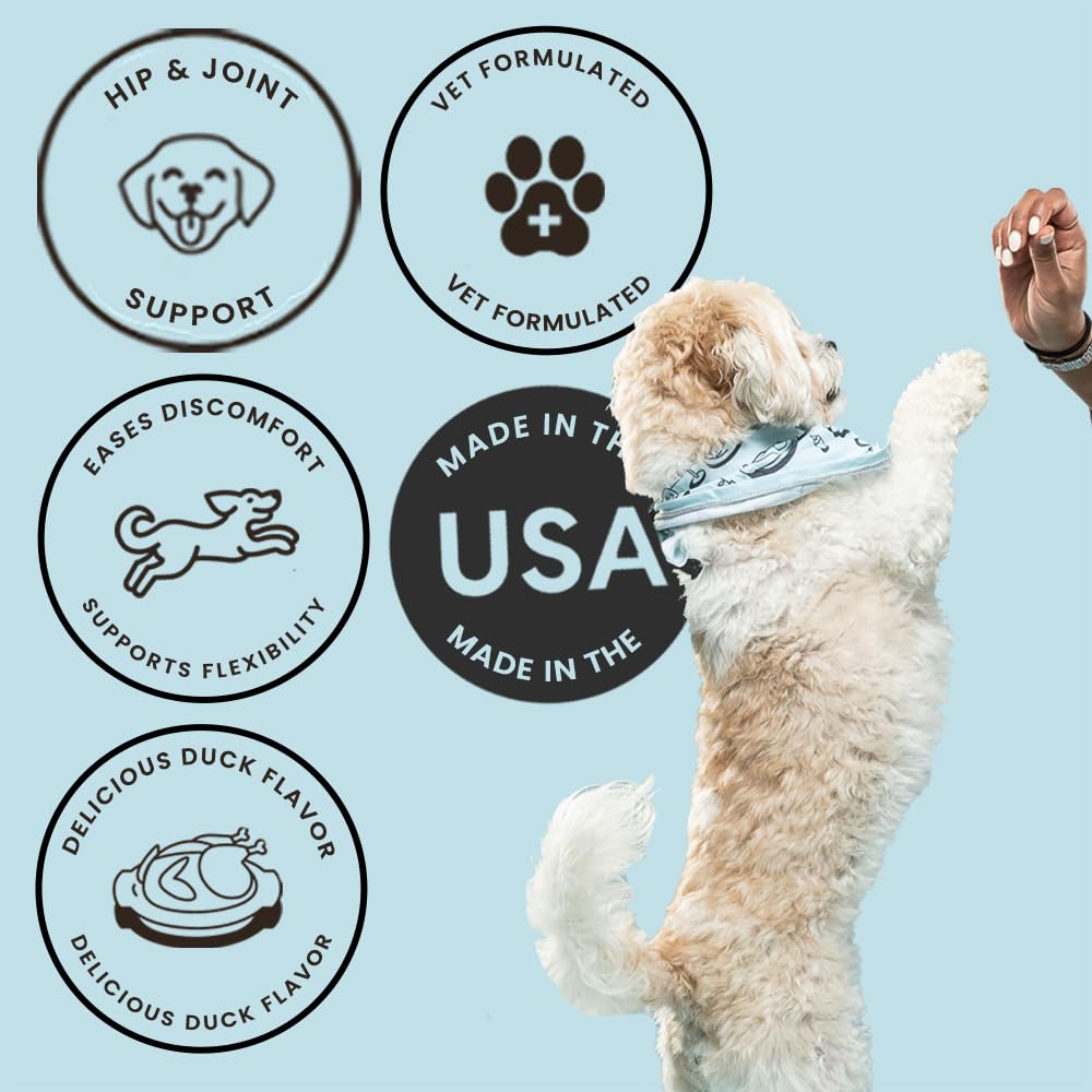 The Pets Table hip & joint chews dog chewing a treat promotes flexibility.