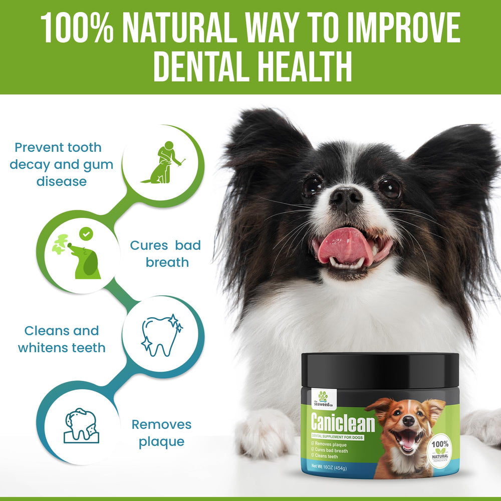 The Seaweed Co Caniclean fresh-breath-dog-breath-improvement beside a bowl.