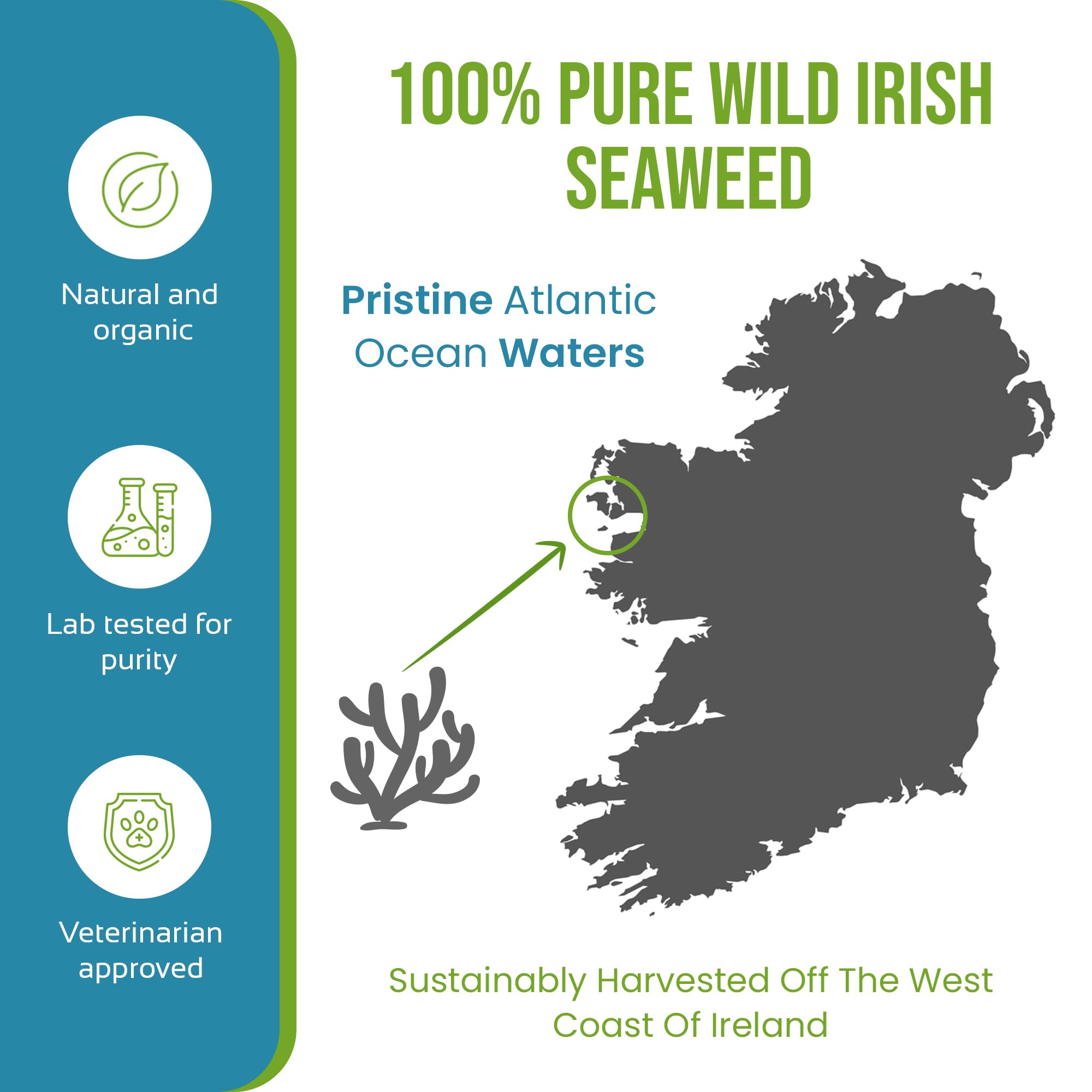 The Seaweed Co Caniclean irish-seaweed-ingredients highlight natural sourcing.