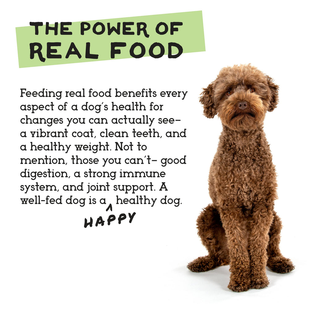 the-simple-food-project-6pack-sample-bundle variety pack for rotation