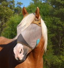 The Sunny Zebra fly mask with UV-blocking mesh shields sensitive eyes during turnout.
