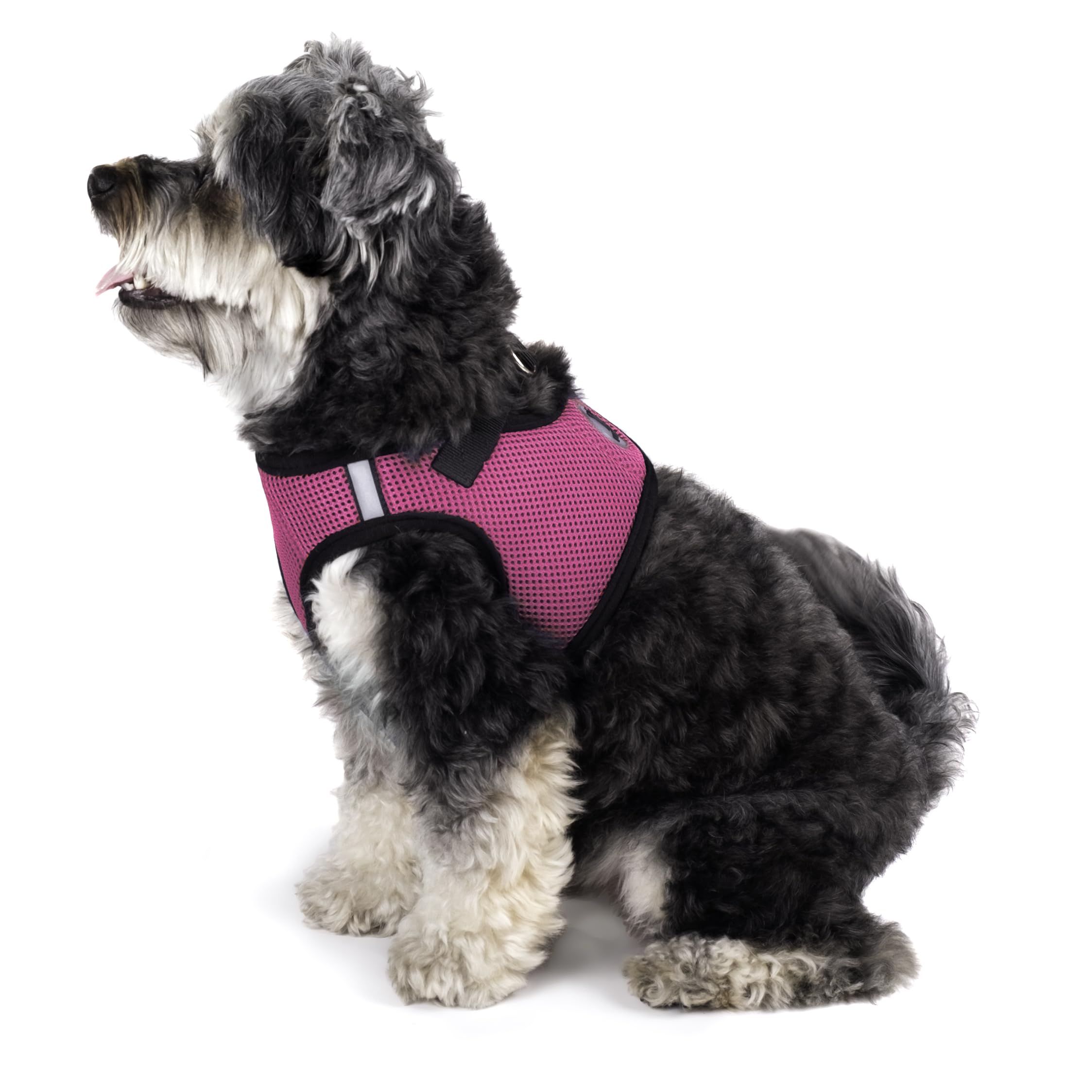 The Worthy Dog Step-In Harness Pink Small leash attachment point for secure walks.