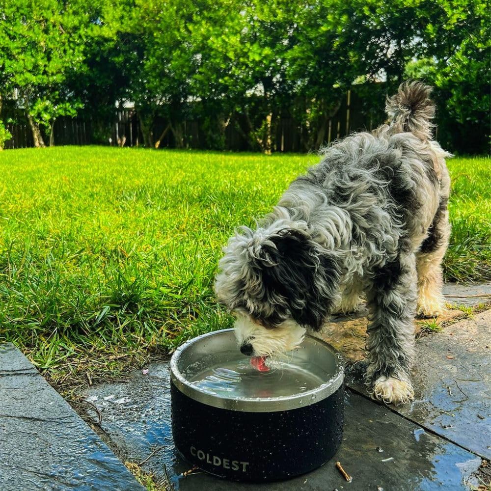 The Coldest Water dog bowl chews-resistant stainless steel for long-lasting durability.