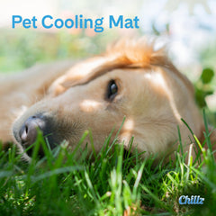 The Green Pet Shop Chillz Gel Mat outdoors in shade demonstrates travel-ready cooling.