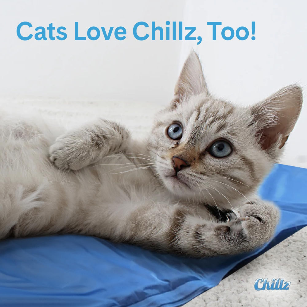 Outdoor shade use of Chillz Gel Mat XL showing versatility on warm days
