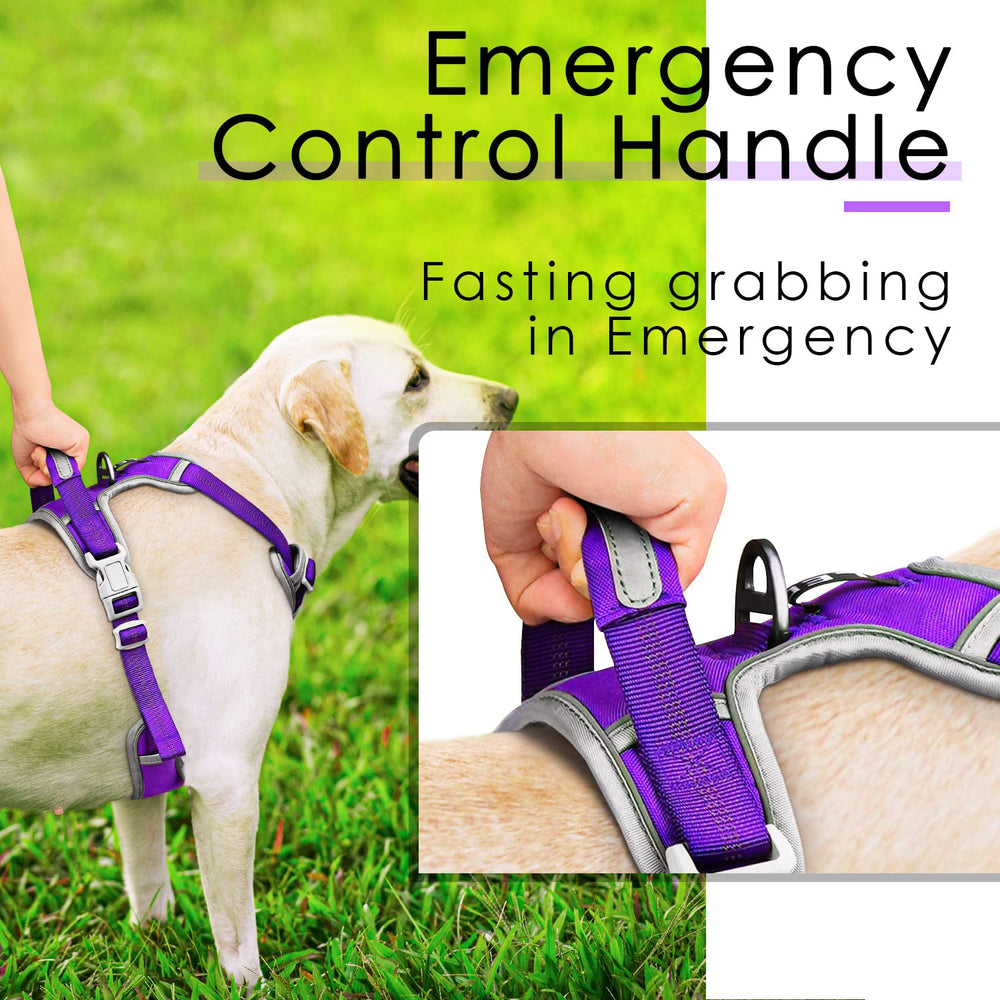 ThinkPet adjustable sliding straps deliver a tailored, secure fit.