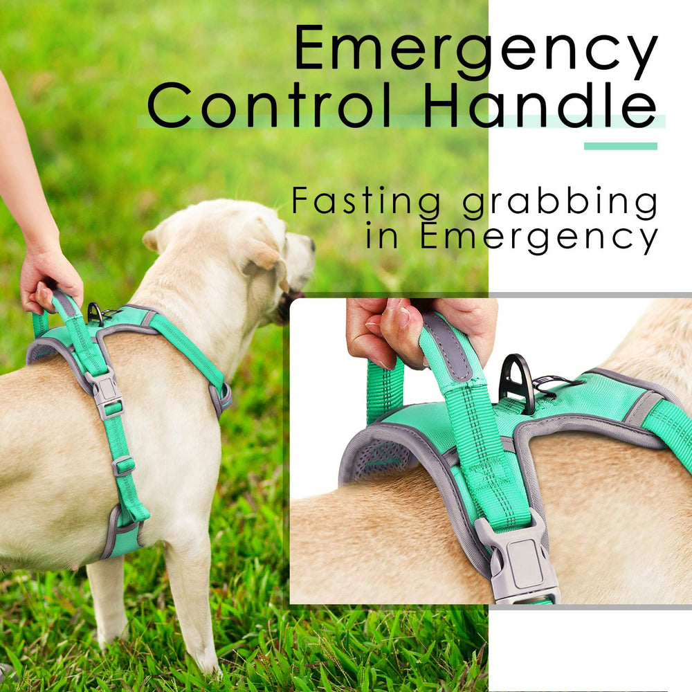 ThinkPet adjustable straps ensure a secure, snug fit