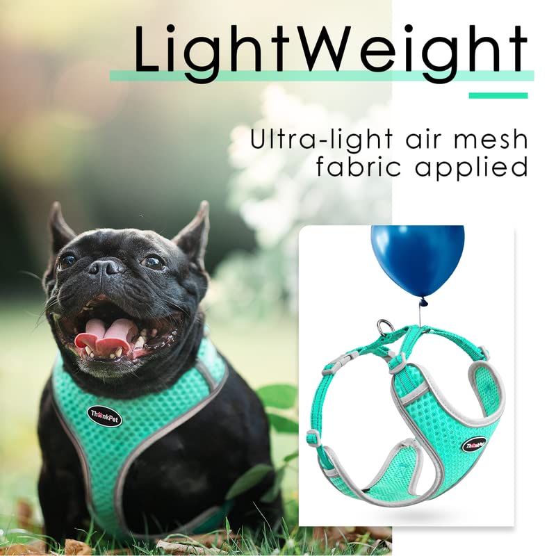 ThinkPet breathable air-mesh harness keeps pets cool during summer walks.