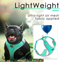 ThinkPet breathable air-mesh harness keeps pets cool during summer walks.
