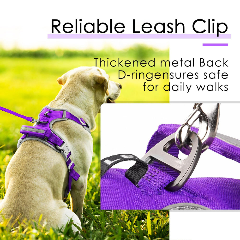 ThinkPet breathable padding mesh keeps dogs cool and comfy on outings.