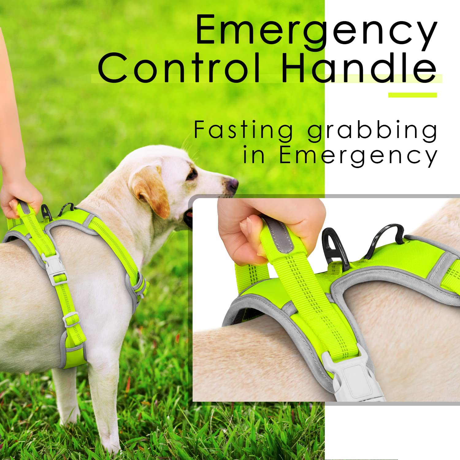 ThinkPet Built-in handle for extra control near traffic