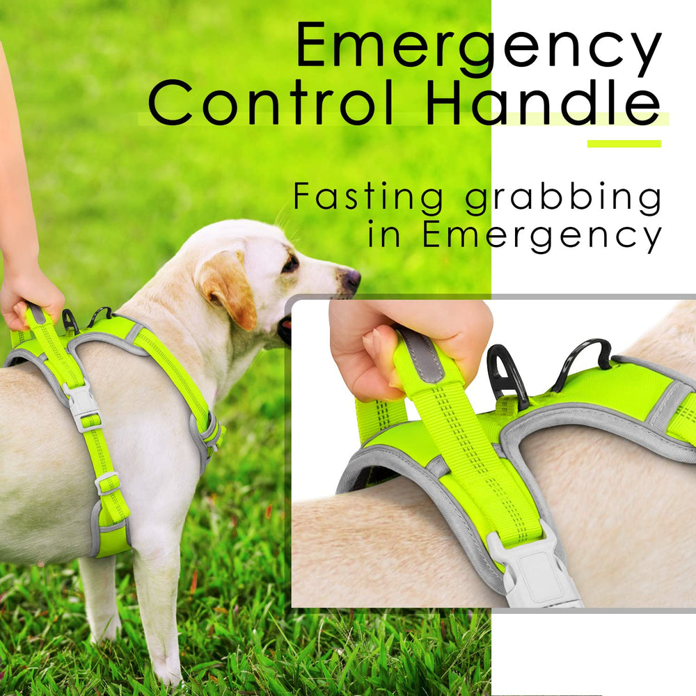 ThinkPet Built-in handle for extra control near traffic