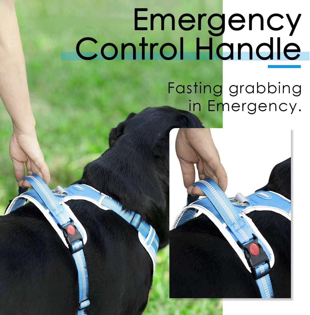 ThinkPet durable nylon construction withstands active dogs