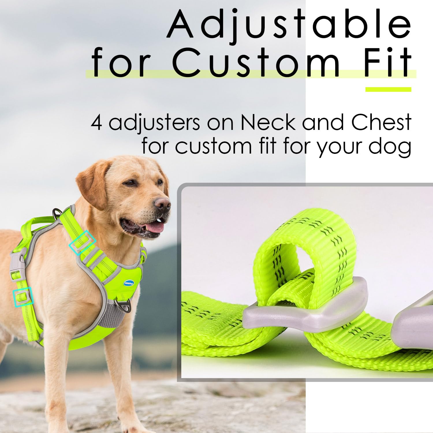 ThinkPet Durable nylon construction withstands active dogs daily use