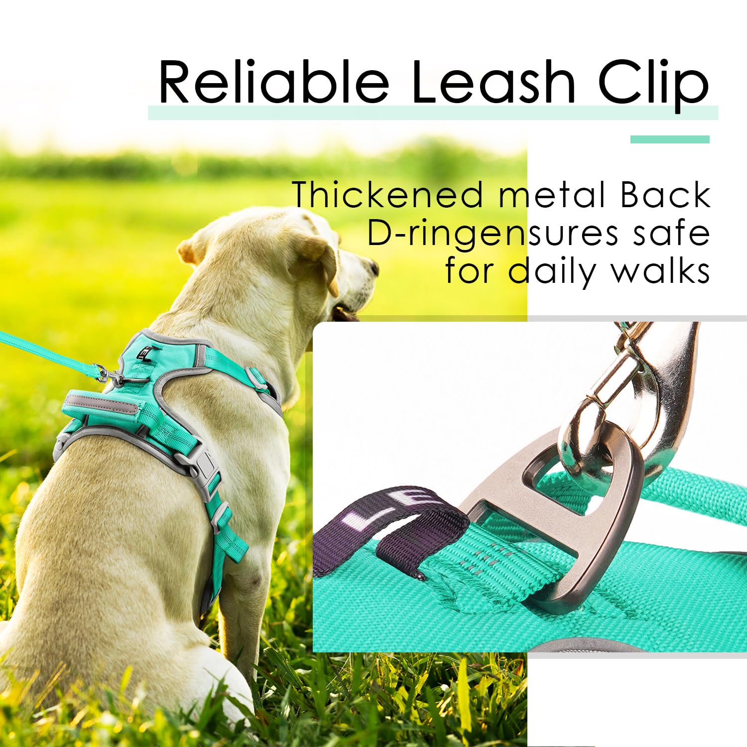 ThinkPet front and back clip versatile for training and daily use