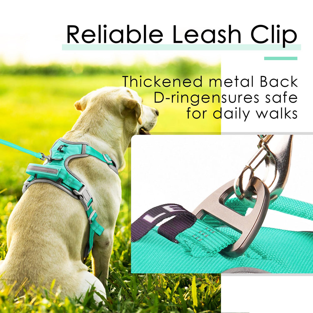 ThinkPet front and back clip versatile for training and daily use
