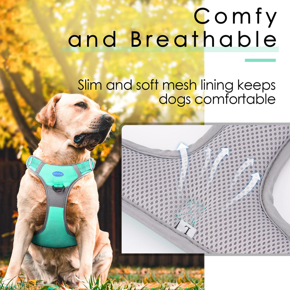 ThinkPet harness with handle enables quick control in emergencies