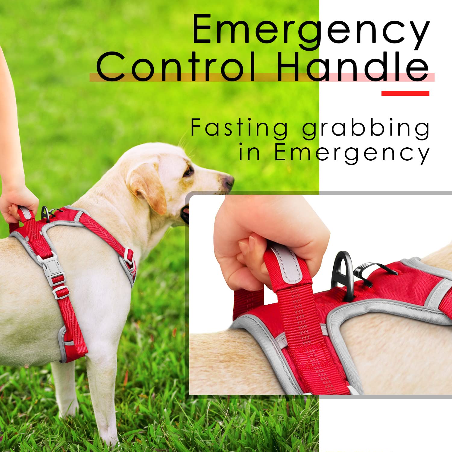 ThinkPet harness with handle enables quick, close control in busy settings.