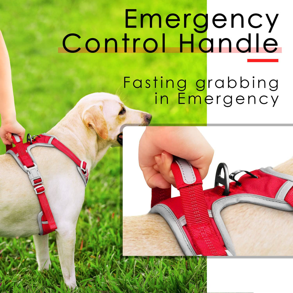 ThinkPet harness with handle enables quick, close control in busy settings.