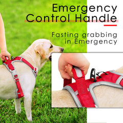 ThinkPet harness with handle enables quick, close control in busy settings.