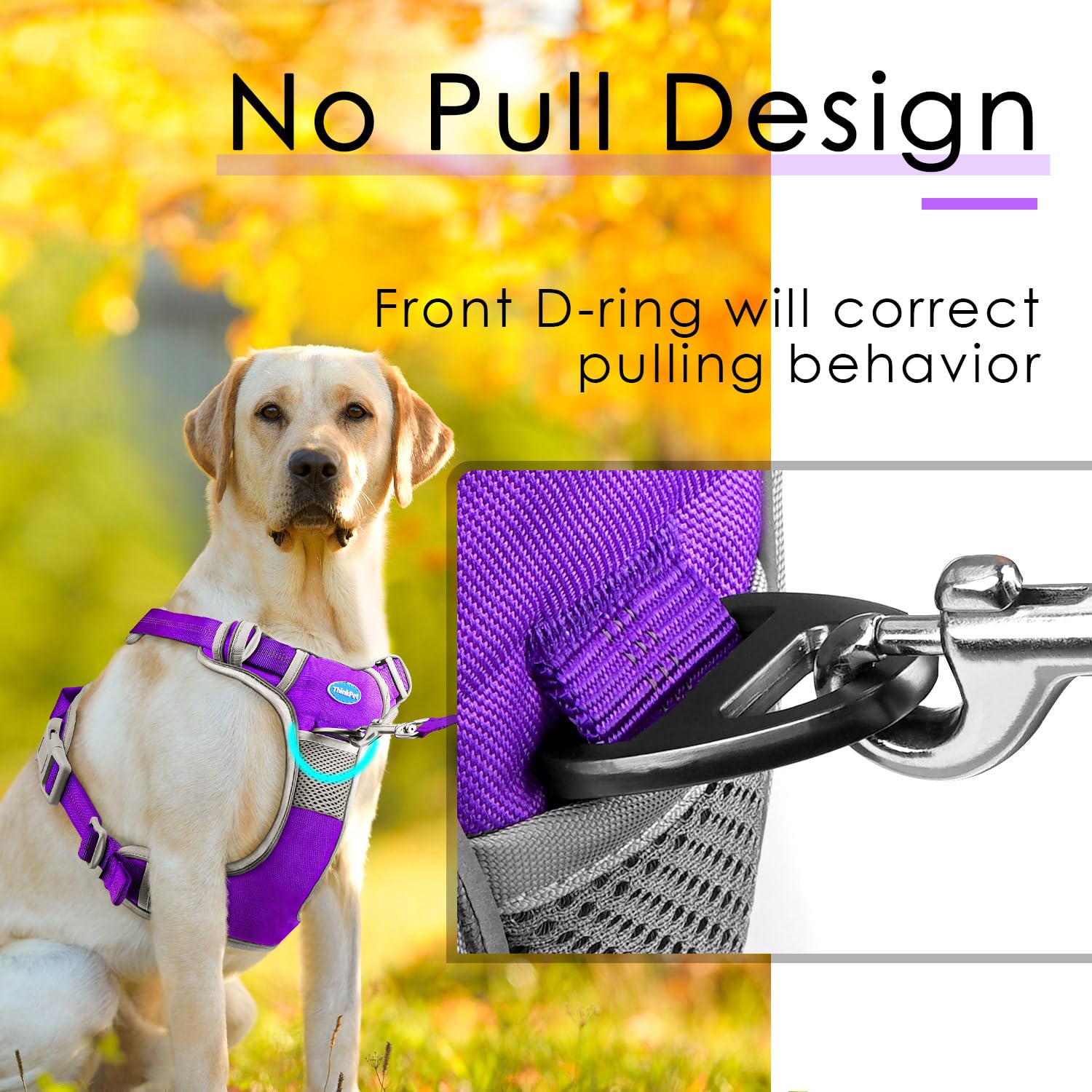 ThinkPet measure guide shows neck and chest fitting tips.