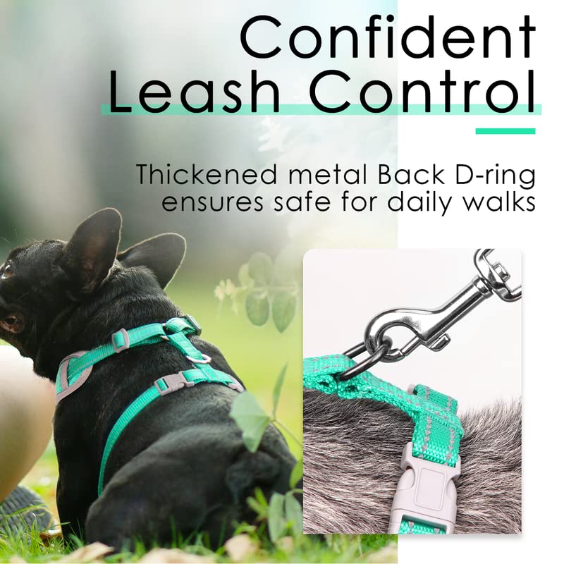 ThinkPet neck and chest fit options prevent slipping while walking.