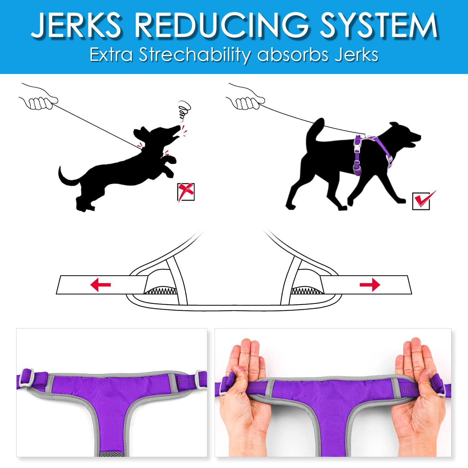 ThinkPet neon purple harness on a dog demonstrates visible, versatile gear.