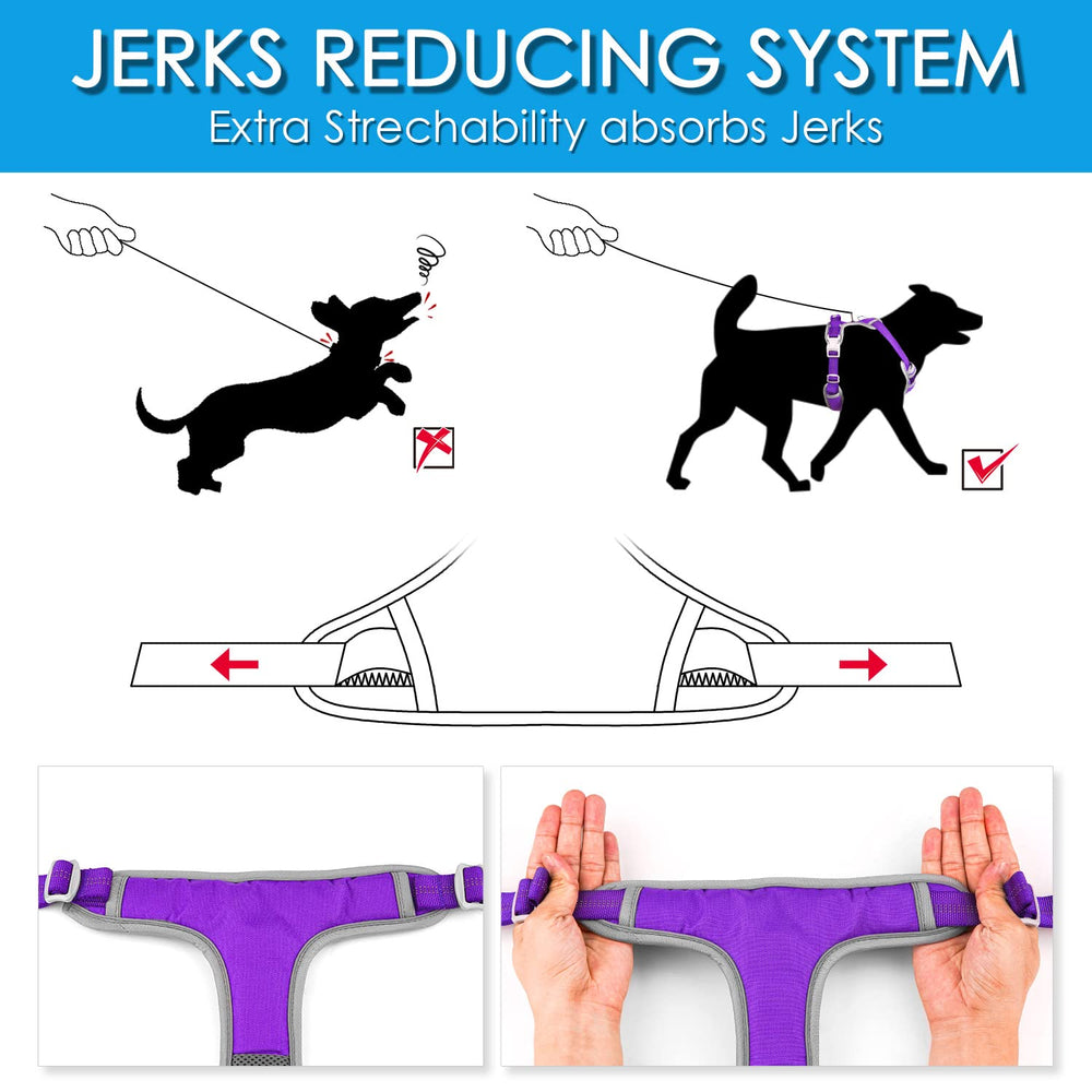 ThinkPet neon purple harness on a dog demonstrates visible, versatile gear.