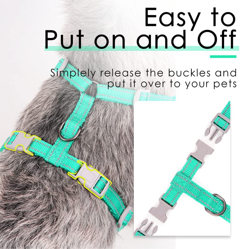 ThinkPet no-pull harness designed for easy on-off daily use.