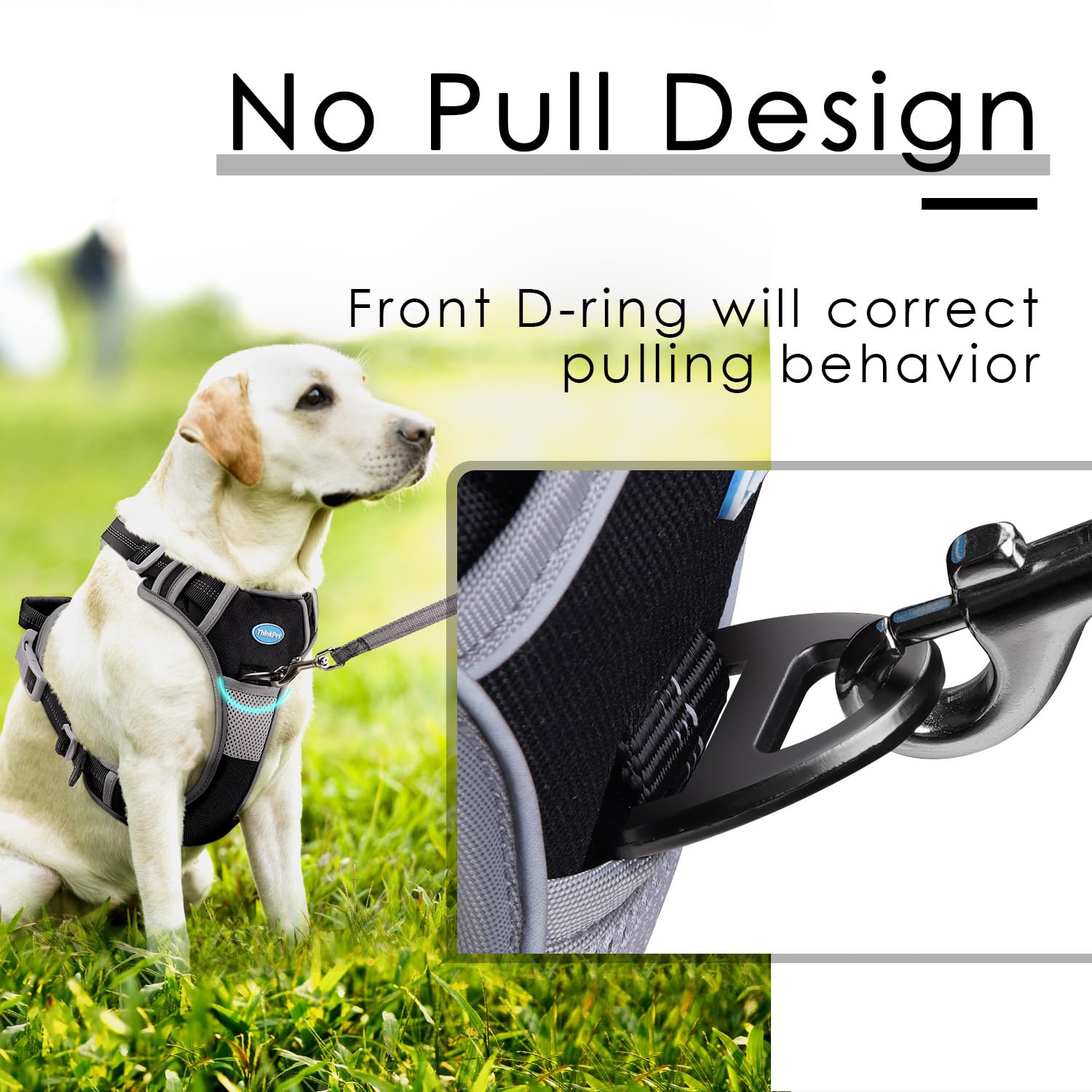 ThinkPet No-Pull Harness adjustable straps XL demonstrate customizable fit for large dogs