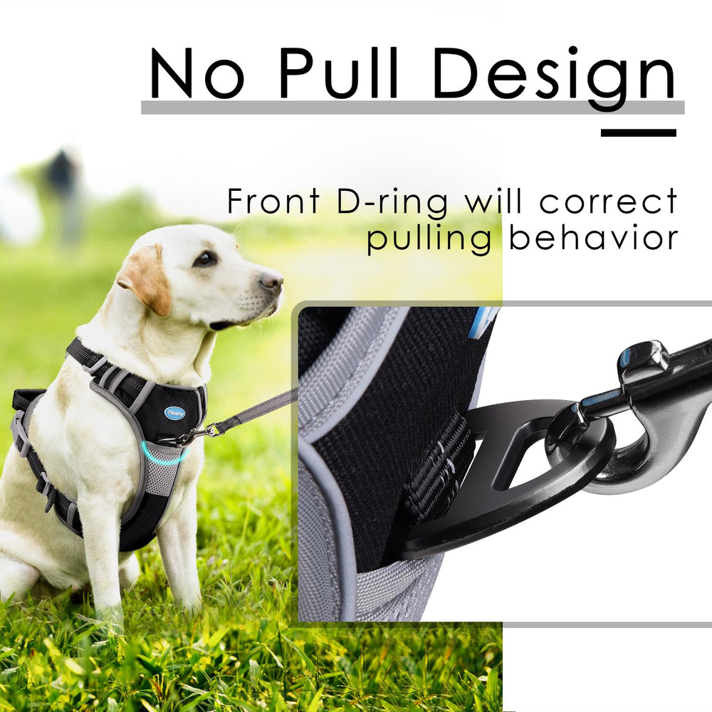 ThinkPet No-Pull Harness adjustable straps XL demonstrate customizable fit for large dogs
