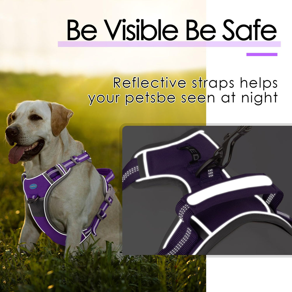 ThinkPet no-pull harness back clip supports comfortable, versatile everyday walking.