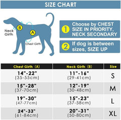 ThinkPet No-Pull Harness back clip for everyday walks
