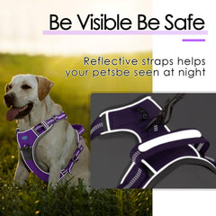 ThinkPet no-pull harness back clip supports comfortable, versatile everyday walking.