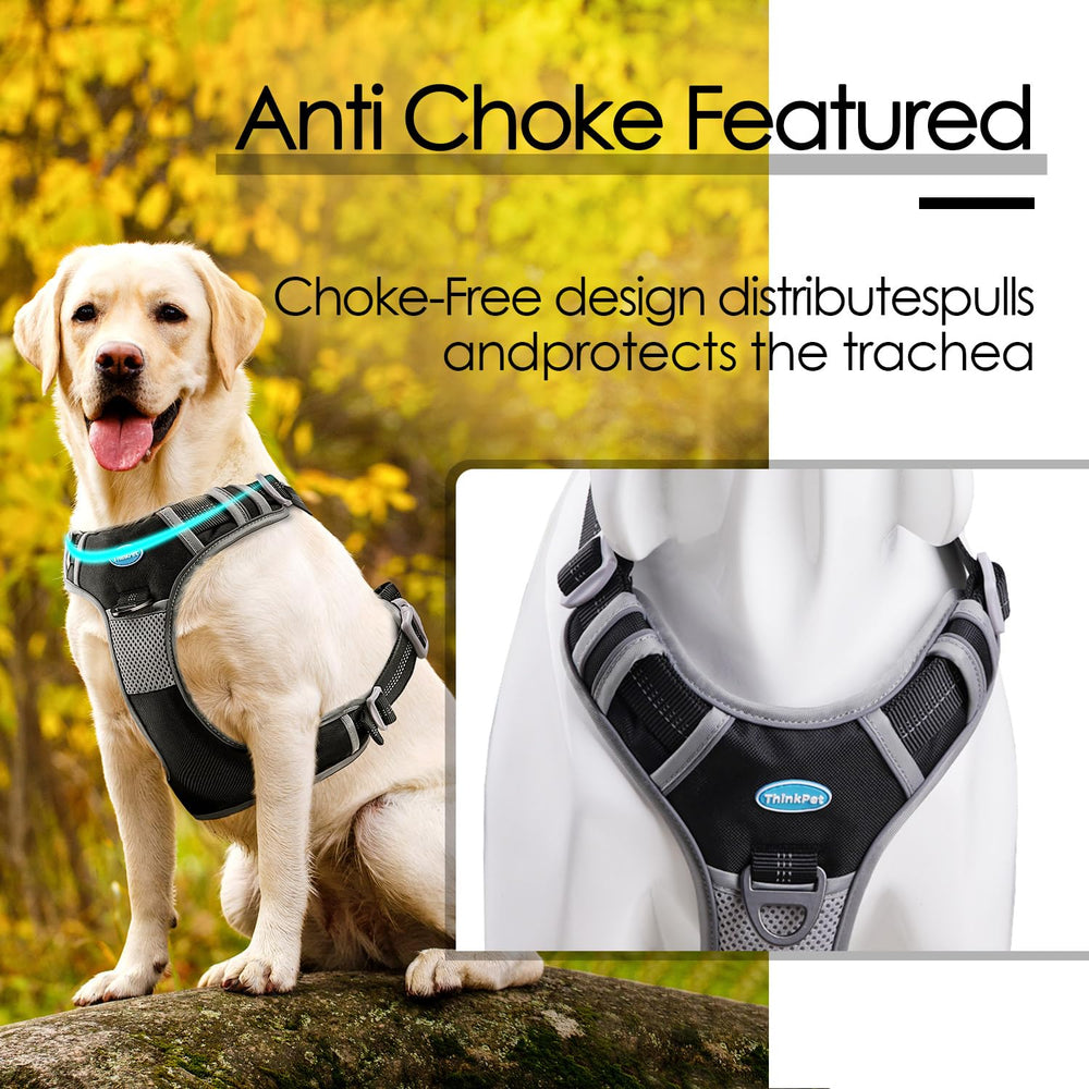 ThinkPet No-Pull Harness in-use walking scene with front control XL
