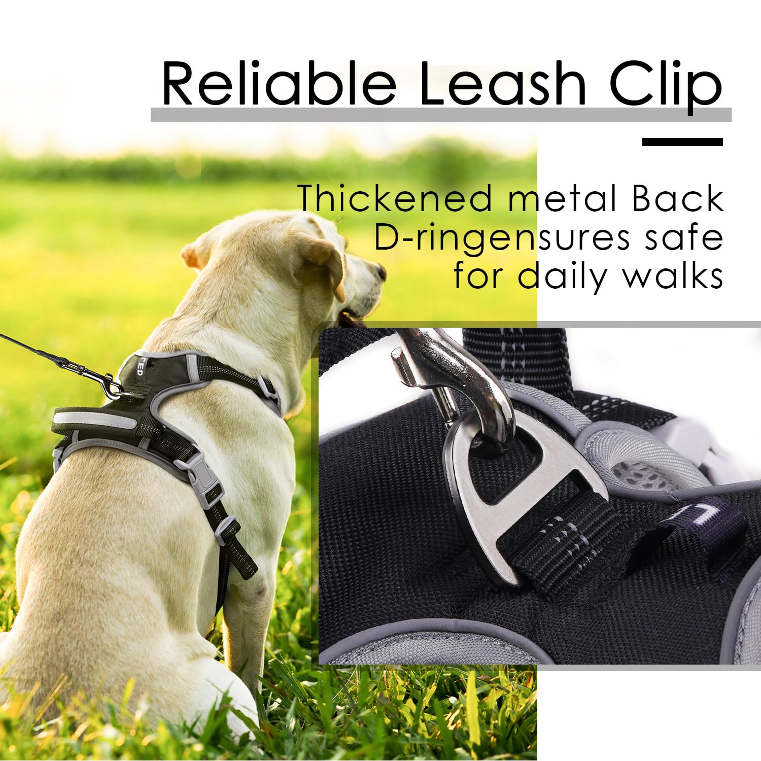 ThinkPet No-Pull Harness quick-release buckle XL for easy on/off