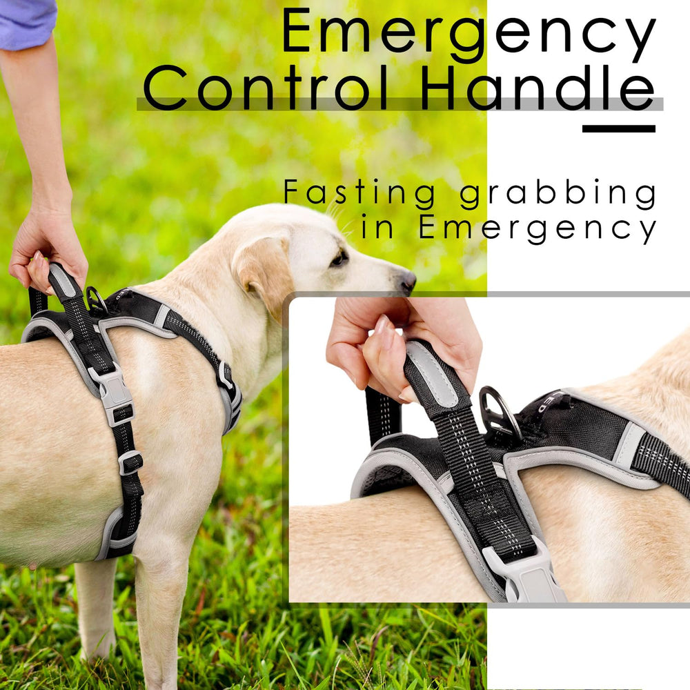 ThinkPet No-Pull Harness soft mesh padding XL provides breathable comfort