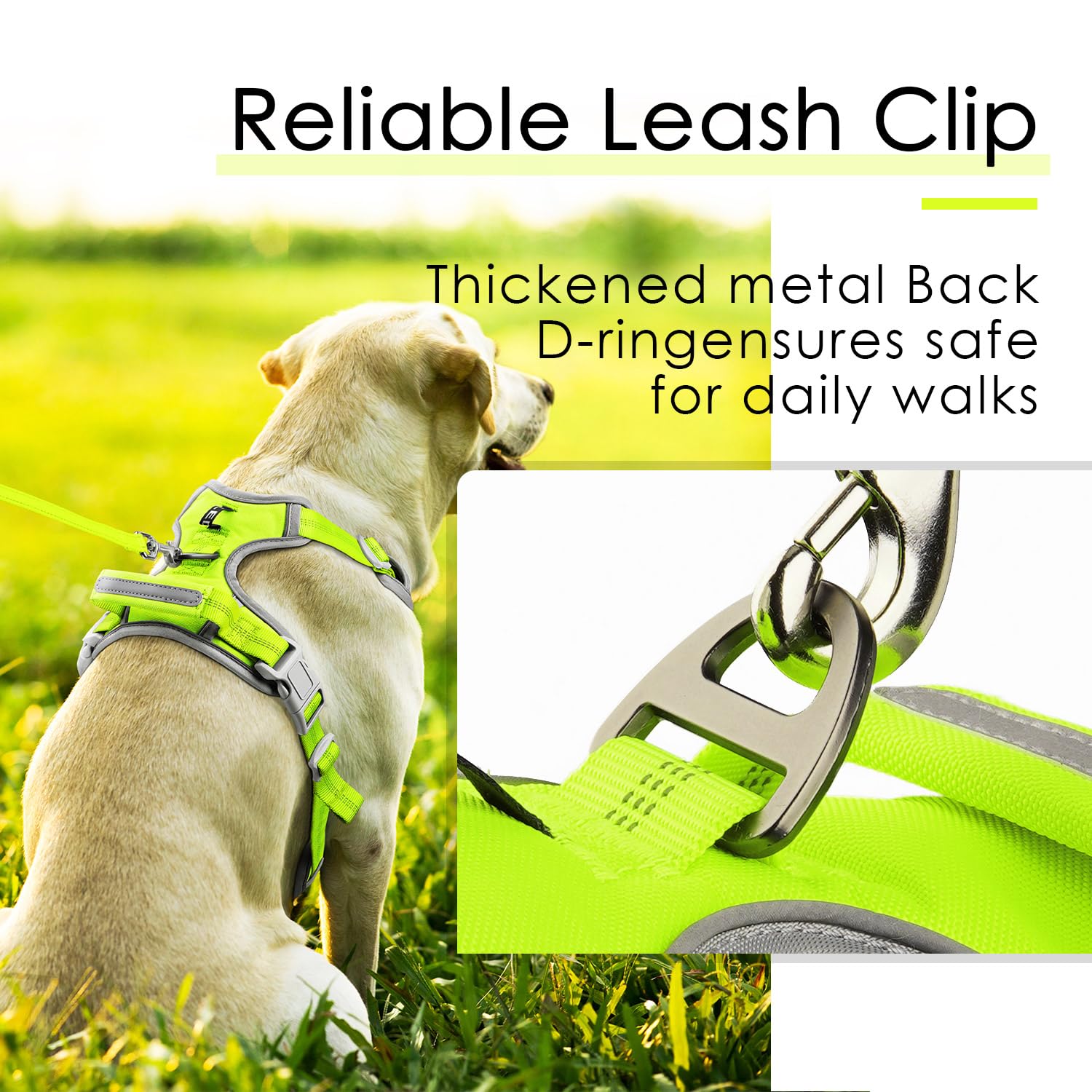ThinkPet Quick-release buckles speed on/off during busy routines
