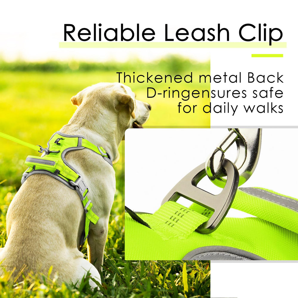 ThinkPet Quick-release buckles speed on/off during busy routines