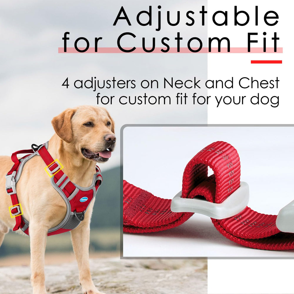 ThinkPet reflective dog harness enhances visibility for safe night walks.