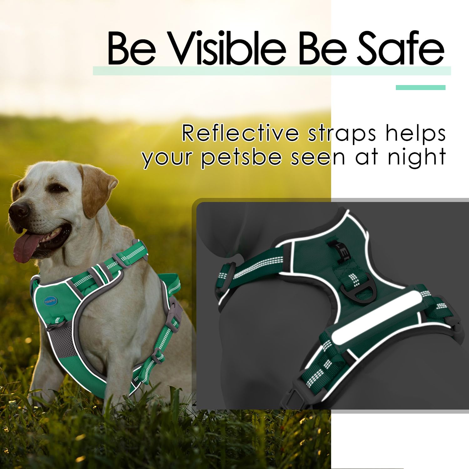 ThinkPet reflective edges keep you visible in low light