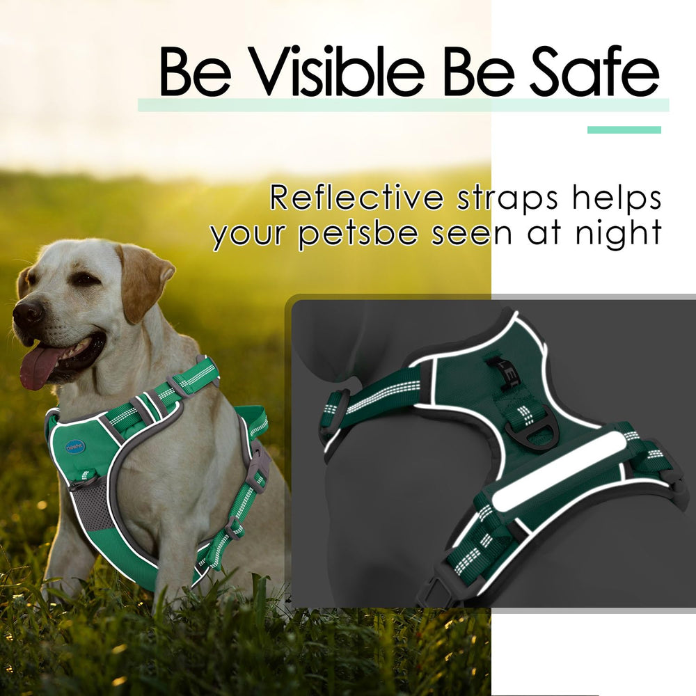 ThinkPet reflective edges keep you visible in low light