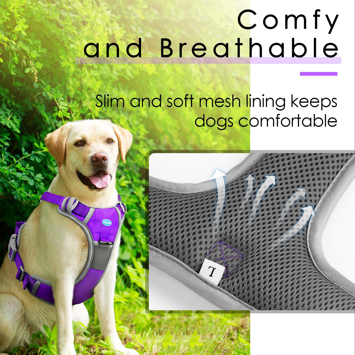 ThinkPet reflective lines boost nighttime visibility for safer strolls.