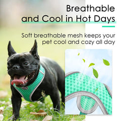 ThinkPet reflective lines improve night visibility for safer outdoor outings.