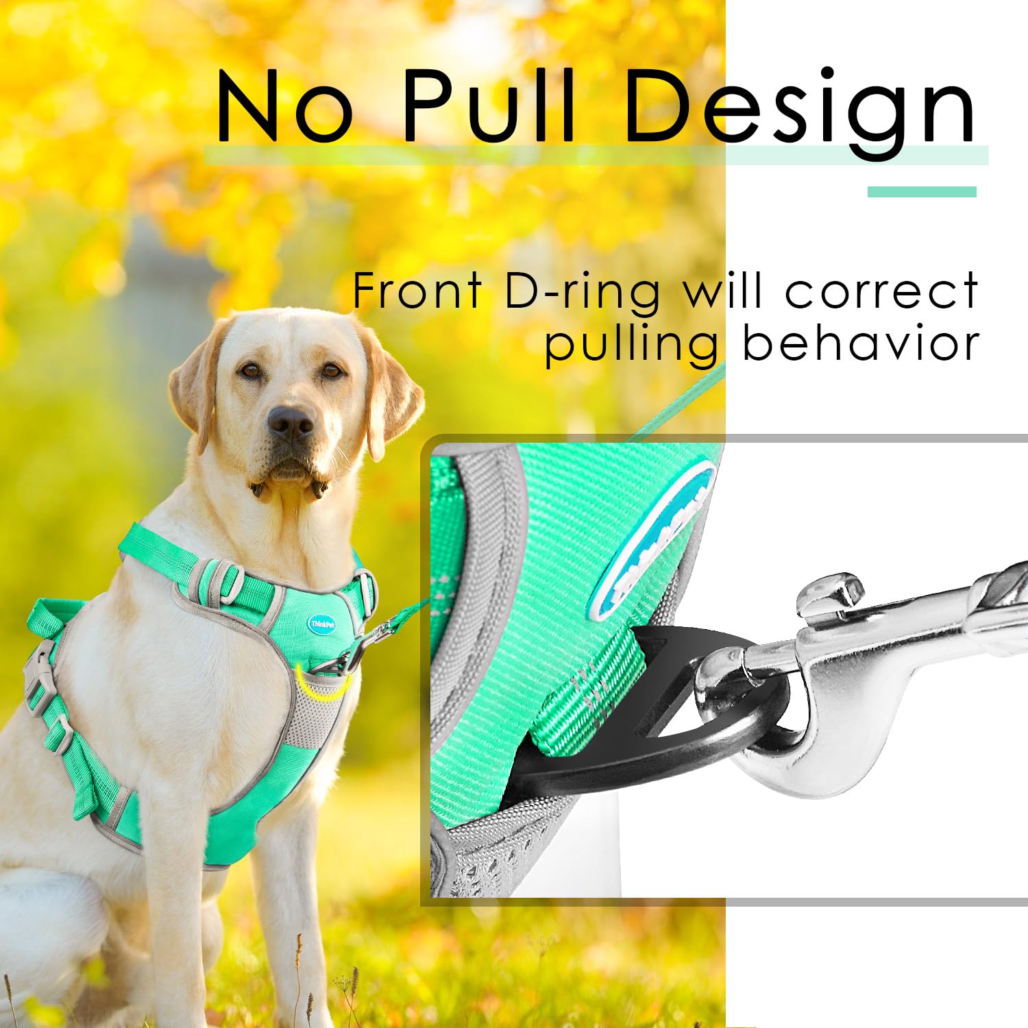 ThinkPet reflective straps improve visibility during dusk walks