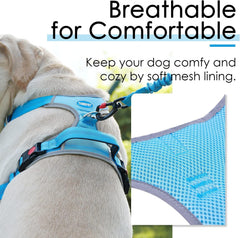 ThinkPet reflective straps harness enhances visibility at night