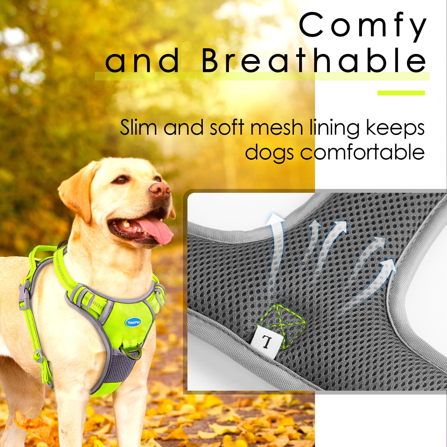 ThinkPet Reflective straps enhance safety during night walks